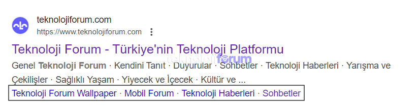 h-etiketleri.png