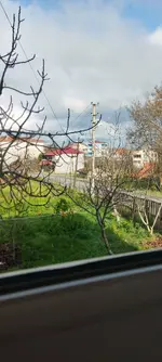 IMG_20250207_123106.jpg IMG_20250207_123106.jpg